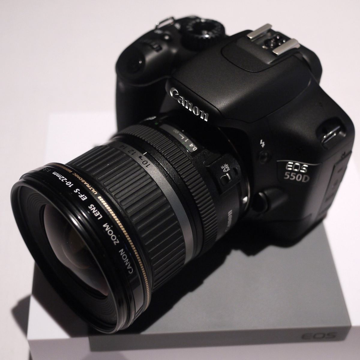 Filmen mit der Spiegelreflex: was die Canon EOS 550D gezeigt hat